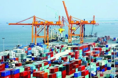 越南公布實施 中國香港 東盟自由貿易協定 的特殊優惠關稅表